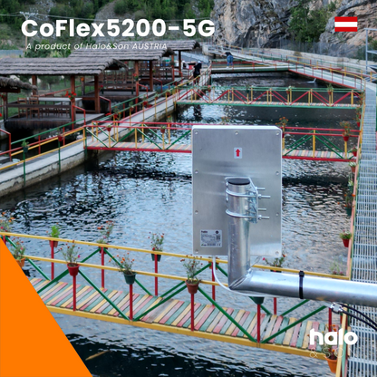 5G MIMO Panel Richtantenne CoFlex5200 – bis 12 dBi Gewinn - Halo&Son Austria